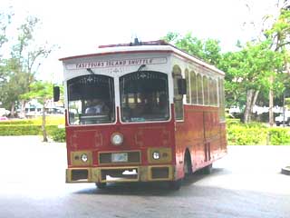 �T�C�p�� �A�C�����h�V���g��