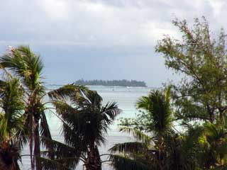 �T�C�p�����s3����