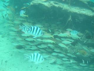 グランドホテル前ビーチ