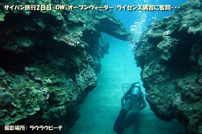 11�x�ڂ̃T�C�p�����s