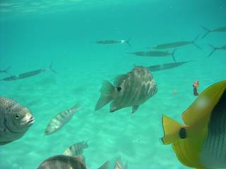 テニアン タチョンガビーチ